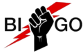 Bigo srl